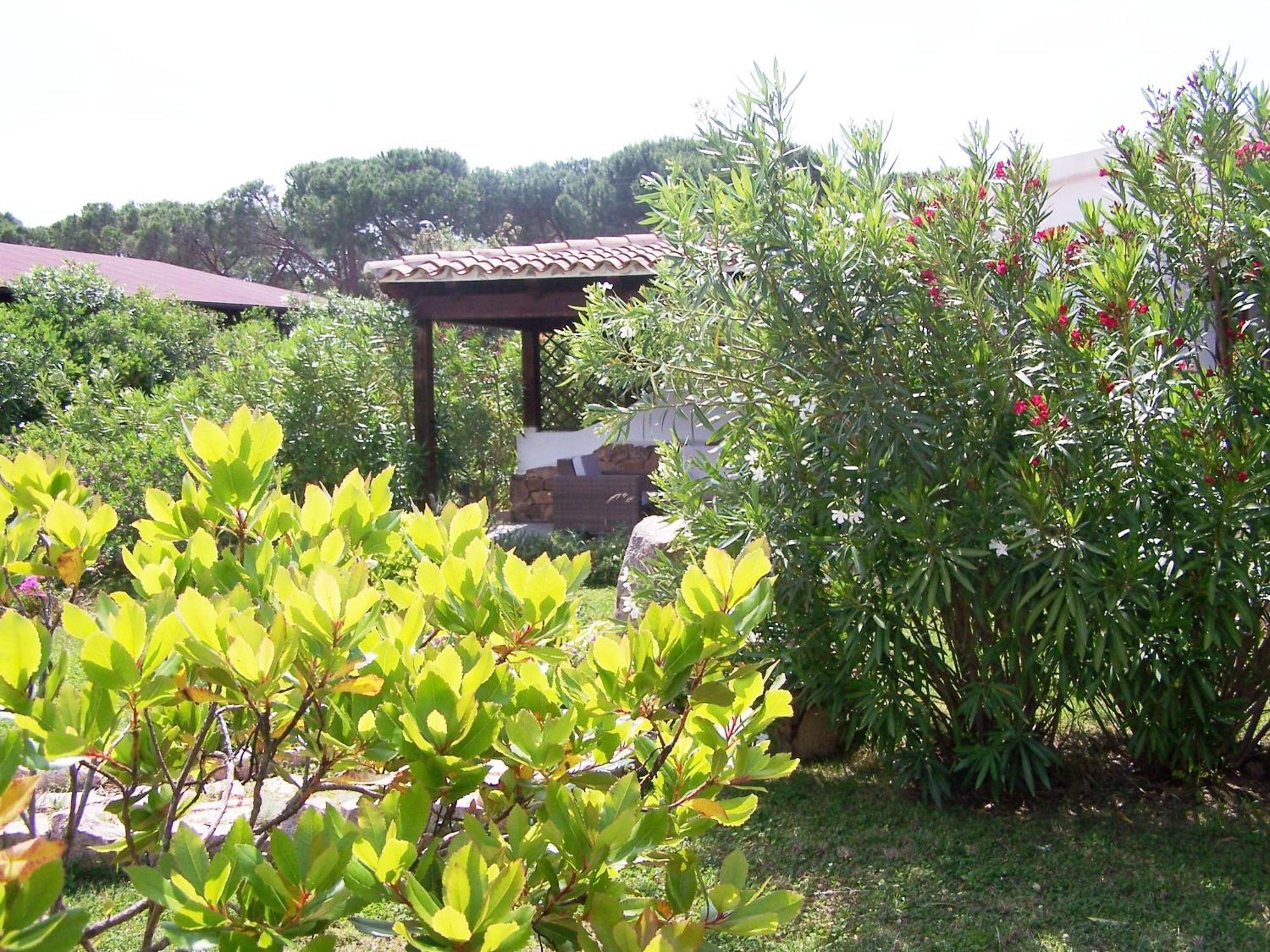 Hotel Club Ragno D'Oro Olbia Tempio Exteriér fotografie